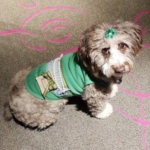 Please read!!OLIVIA my service fur baby ( I make her clothes lol )